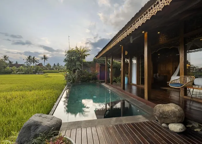 Airsania Ubud Antique s