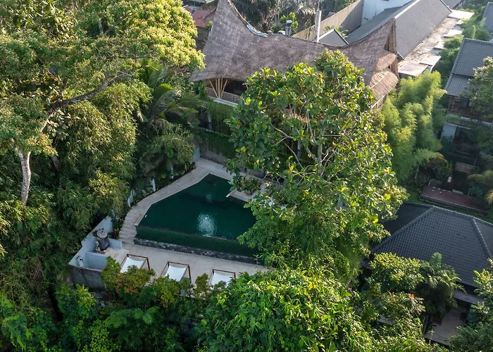  Dinara Ubud
